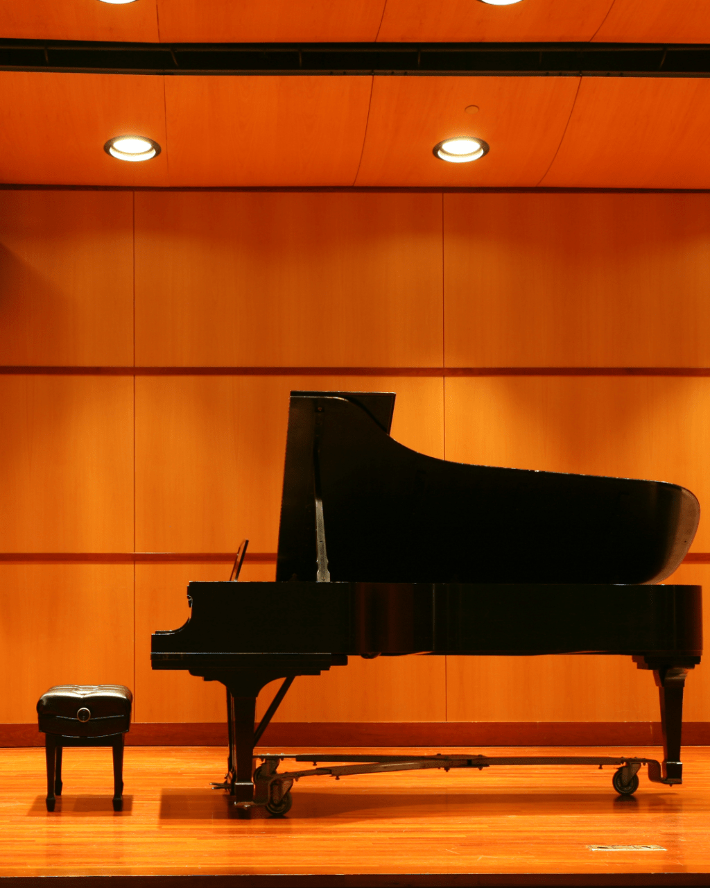 Duo Immersio: Piano Recital for Four&nbsp;Hands